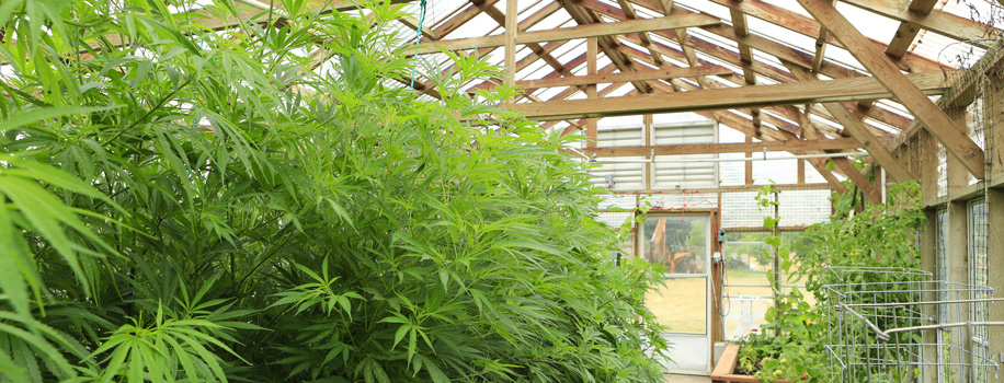 Security Solutions for Apartments in Albuquerque, NM